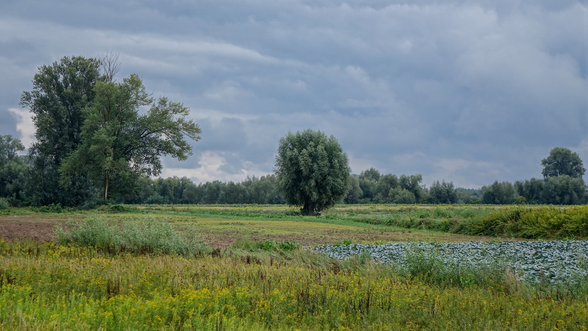 Sierpień w obiektywie - zdjęcie 15