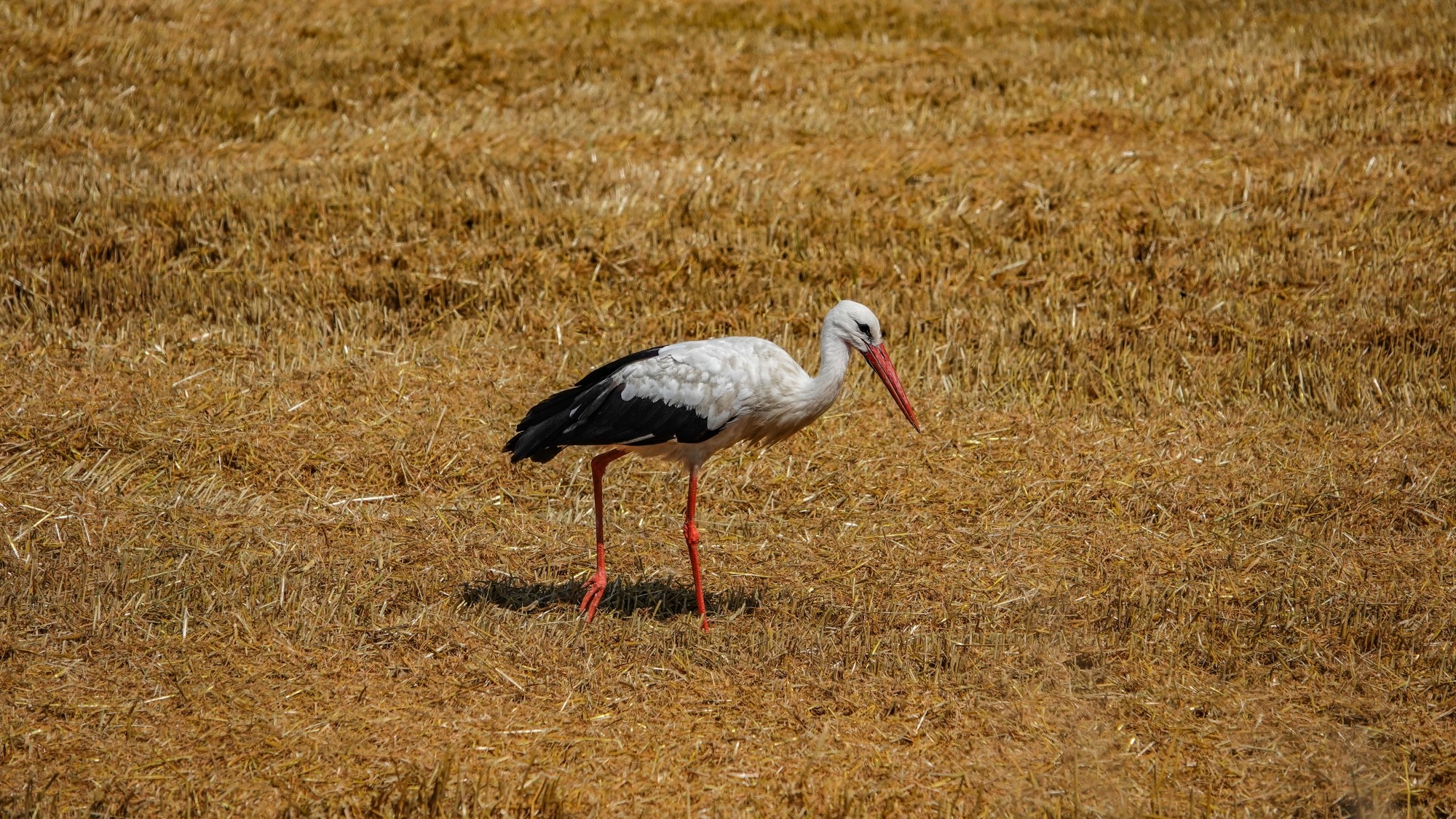 100 najpiękniejszych zdjęć 2021 roku - zdjęcie 85