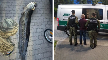 Co się stało z sumem z Balatonu? Policja przekazała nowe informacje