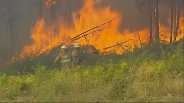 Portugalia walczy z pożarami lasów. Co najmniej 20 osób rannych