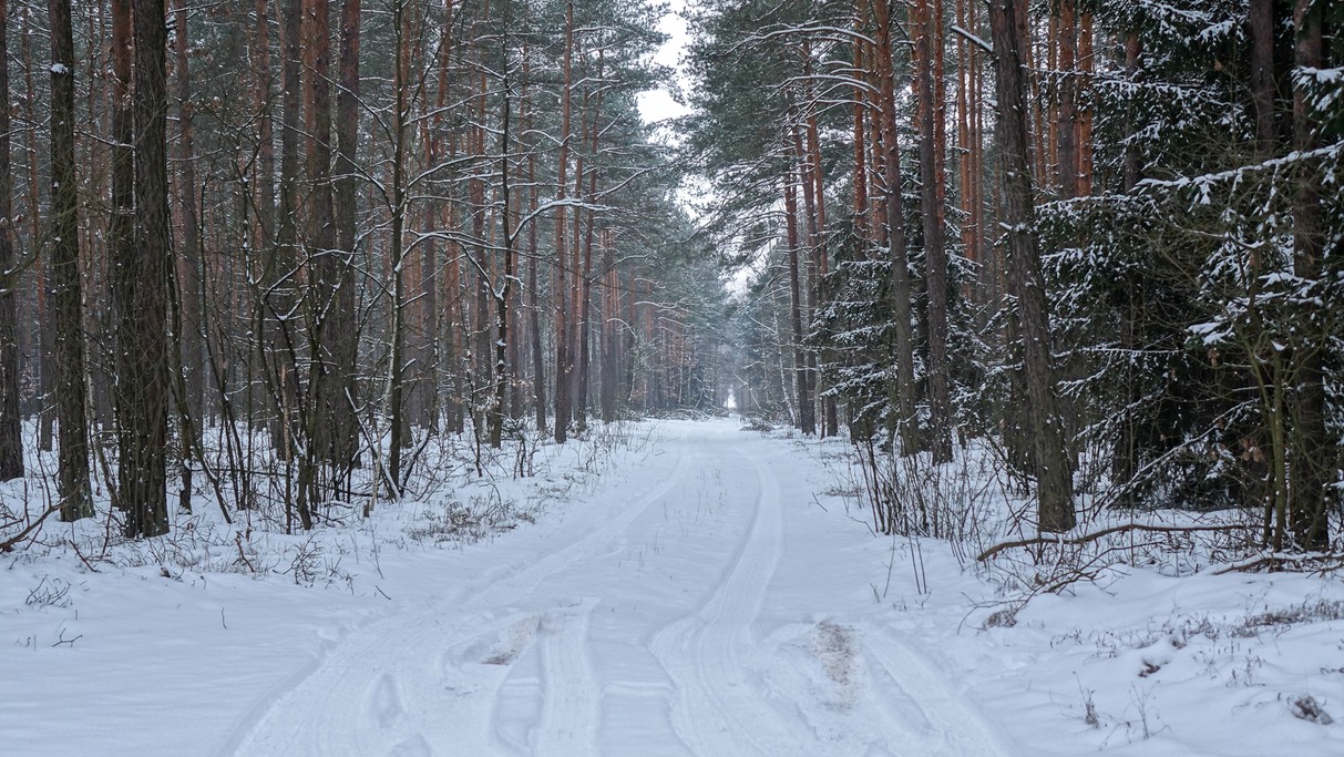 Styczeń w obiektywie - zdjęcie 58