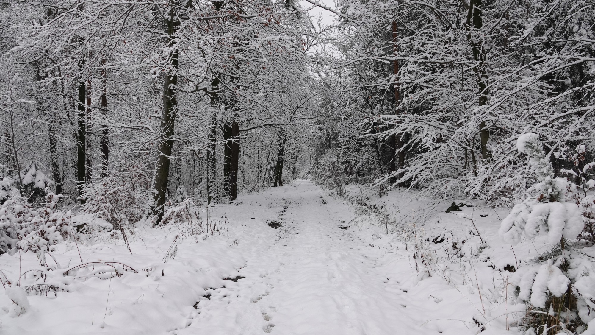 Oblicza zimy - zdjęcie 25