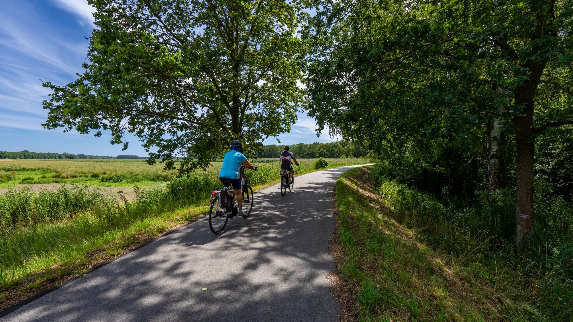 Kolory lata - zdjęcie 48