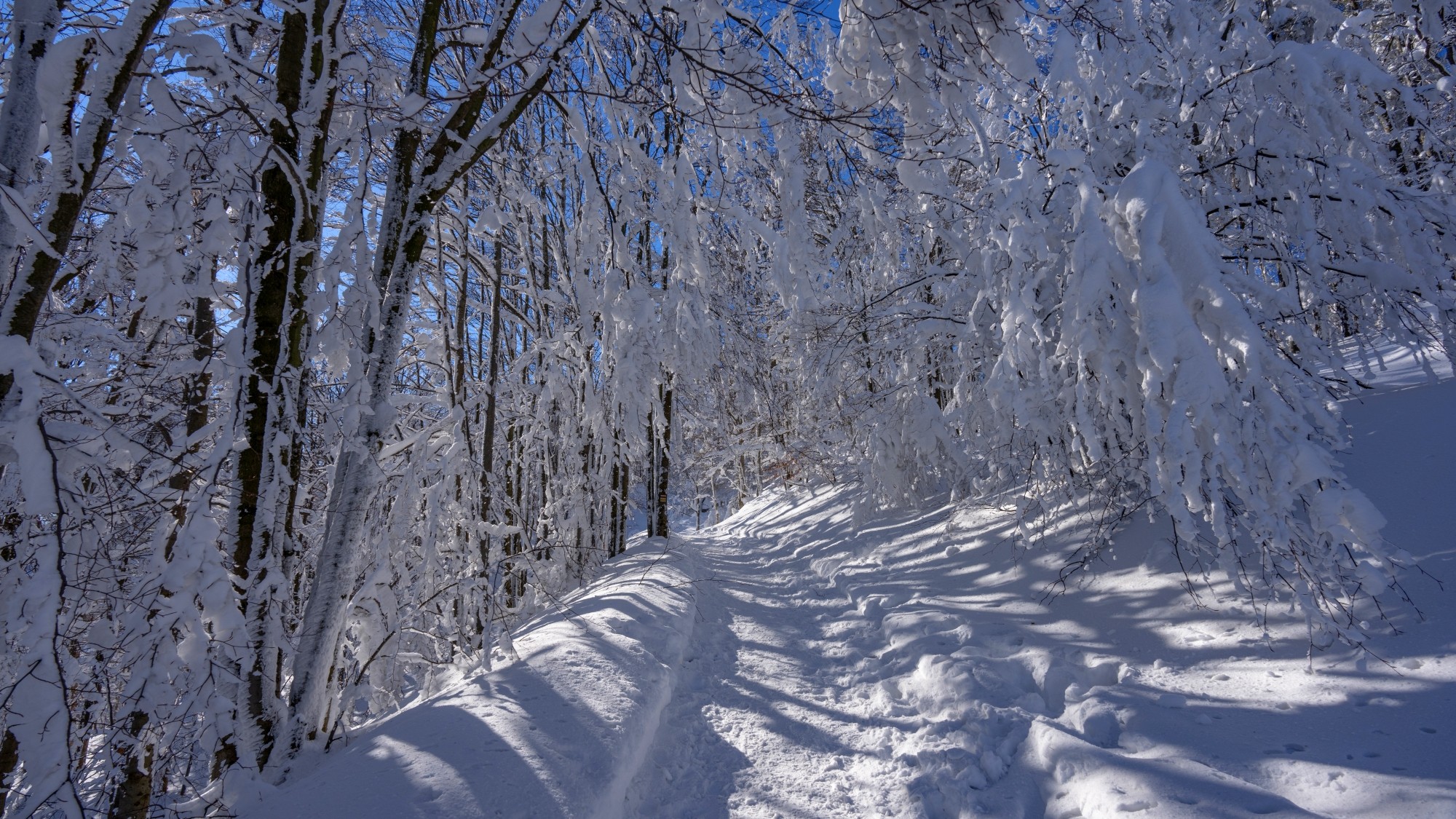 Zima w górach - zdjęcie 12