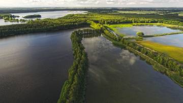 Cud natury blisko Wrocławia. To ewenement w skali kraju i świata