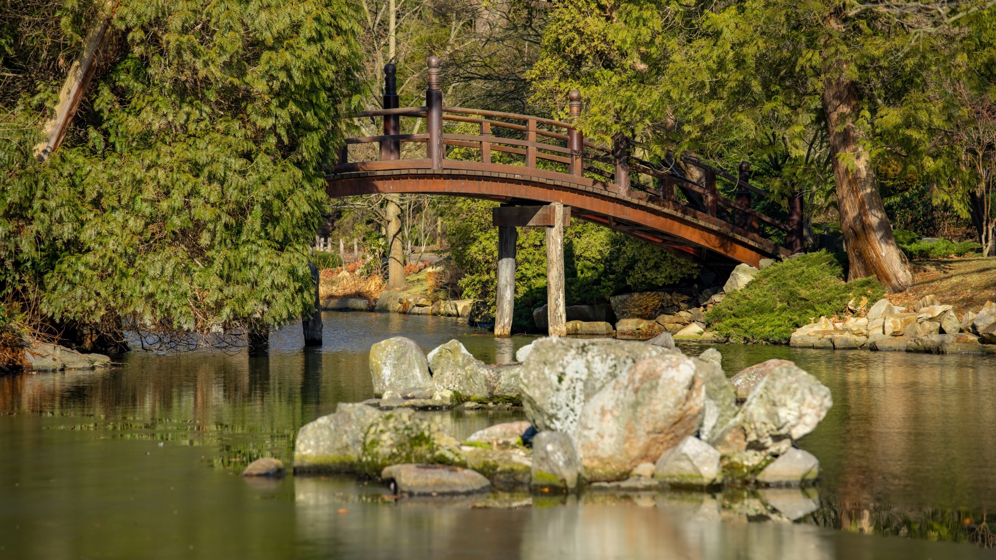 Wiosna coraz bliżej - zdjęcie 25