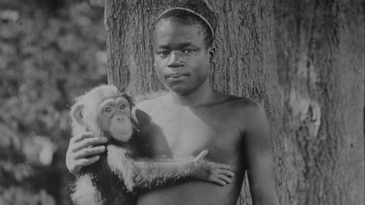 Amerykańskie zoo przeprasza za pokazywanie Afrykanina w 1906 r.