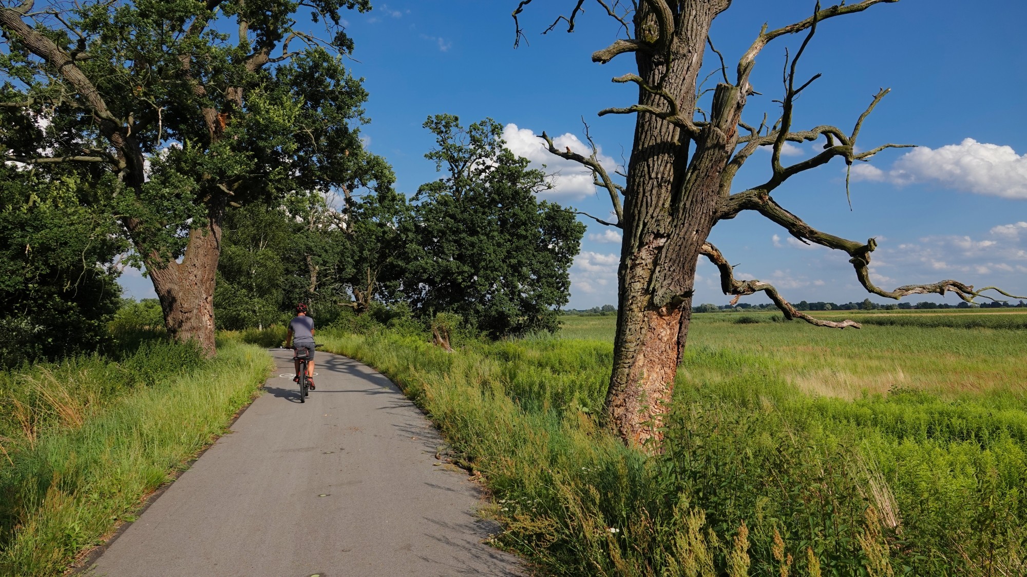 Od morza po góry - zdjęcie 31