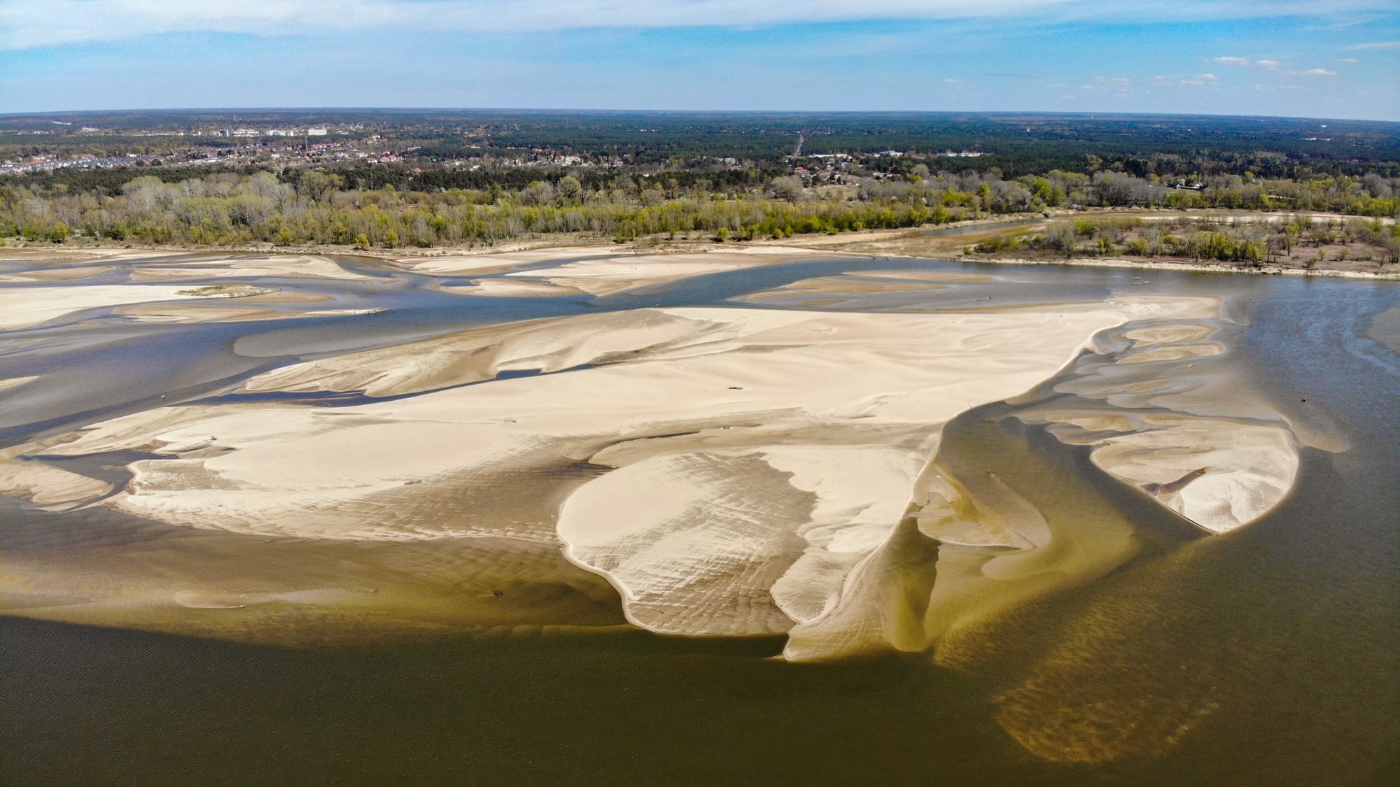 Susza na Wiśle - zdjęcie 12