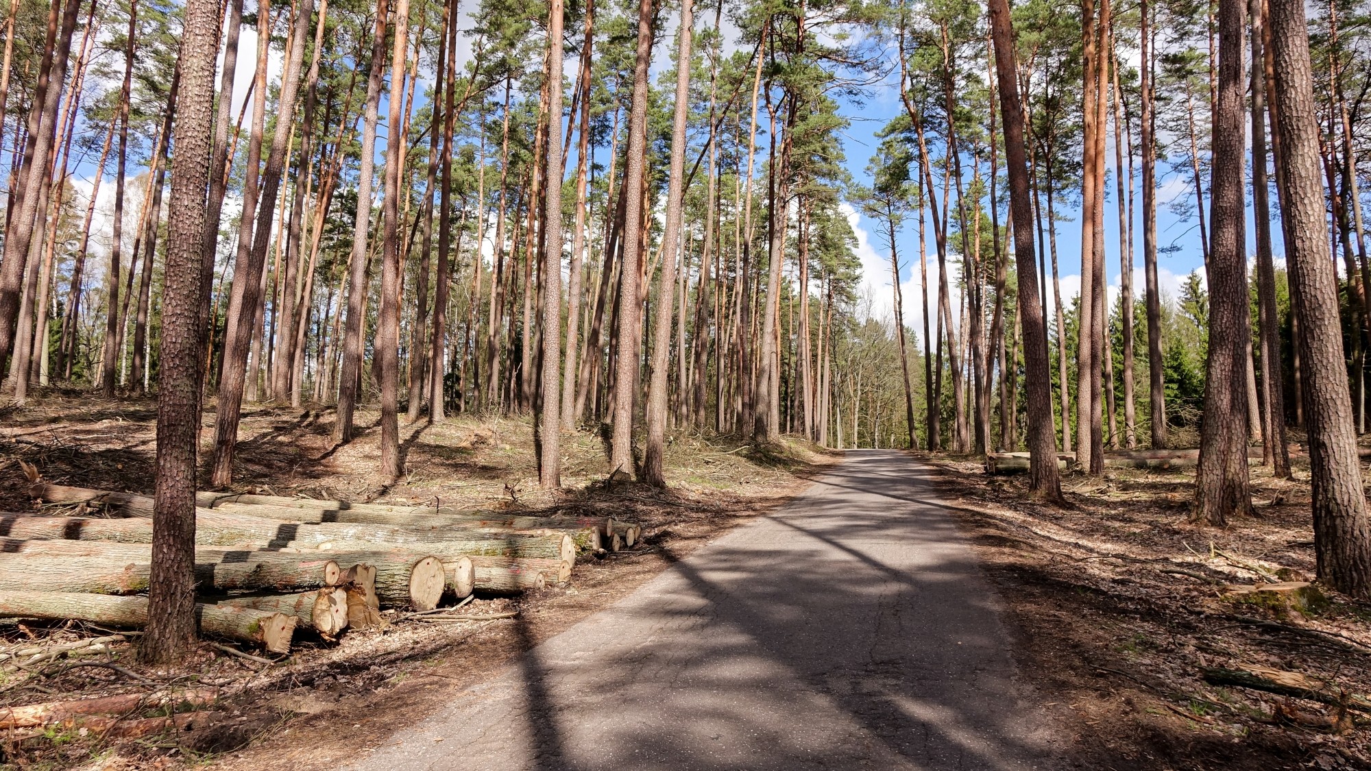 Mazury wiosną - zdjęcie 30