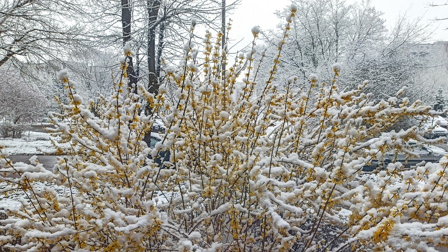 Zima na wiosnę. Fot. Teresa / TwojaPogoda.pl