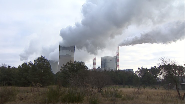 Działacze Greenpeace zeszli z komina elektrowni w Bełchatowie. Zostali zatrzymani przez policję