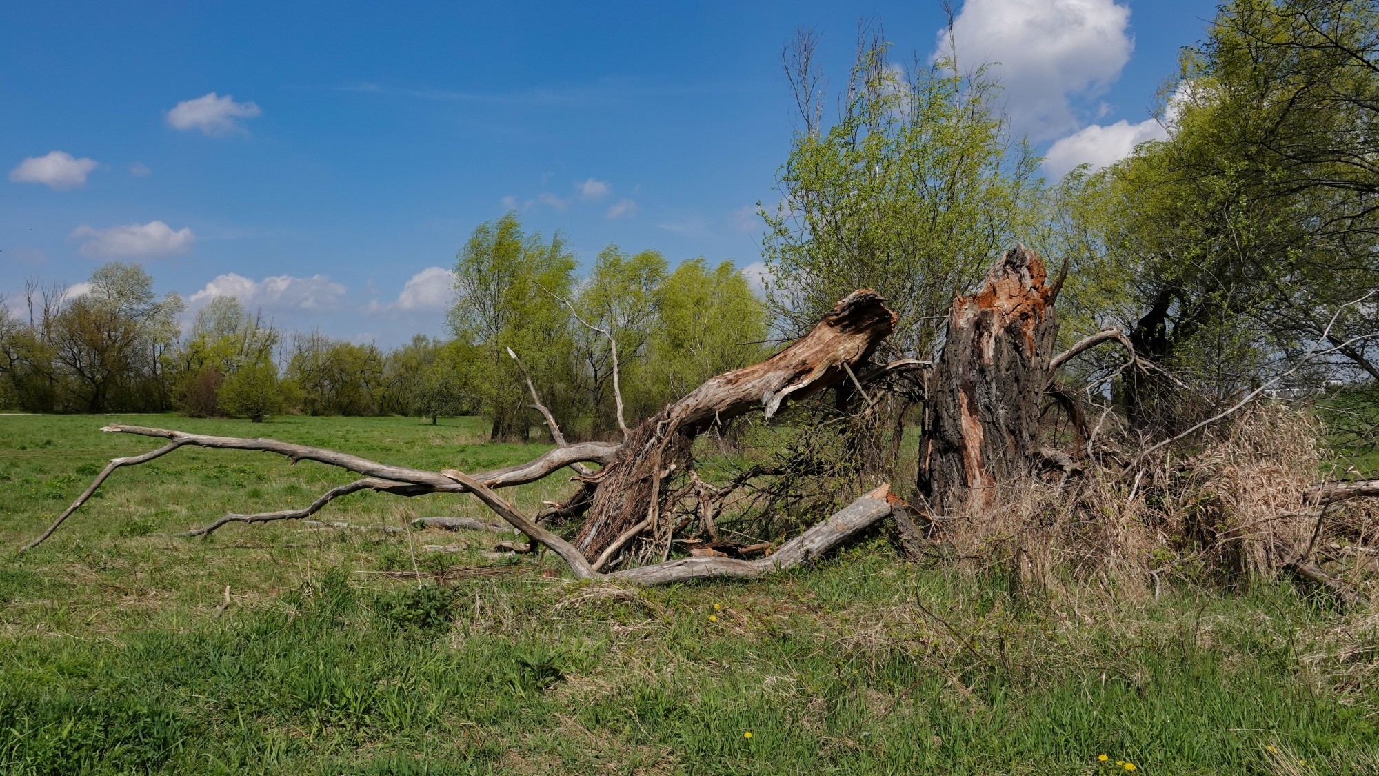 W maju jak w raju - zdjęcie 62