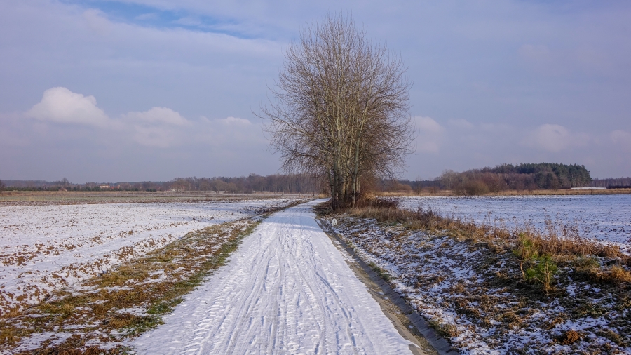 13.02.2018 00:00 Styczeń w obiektywie