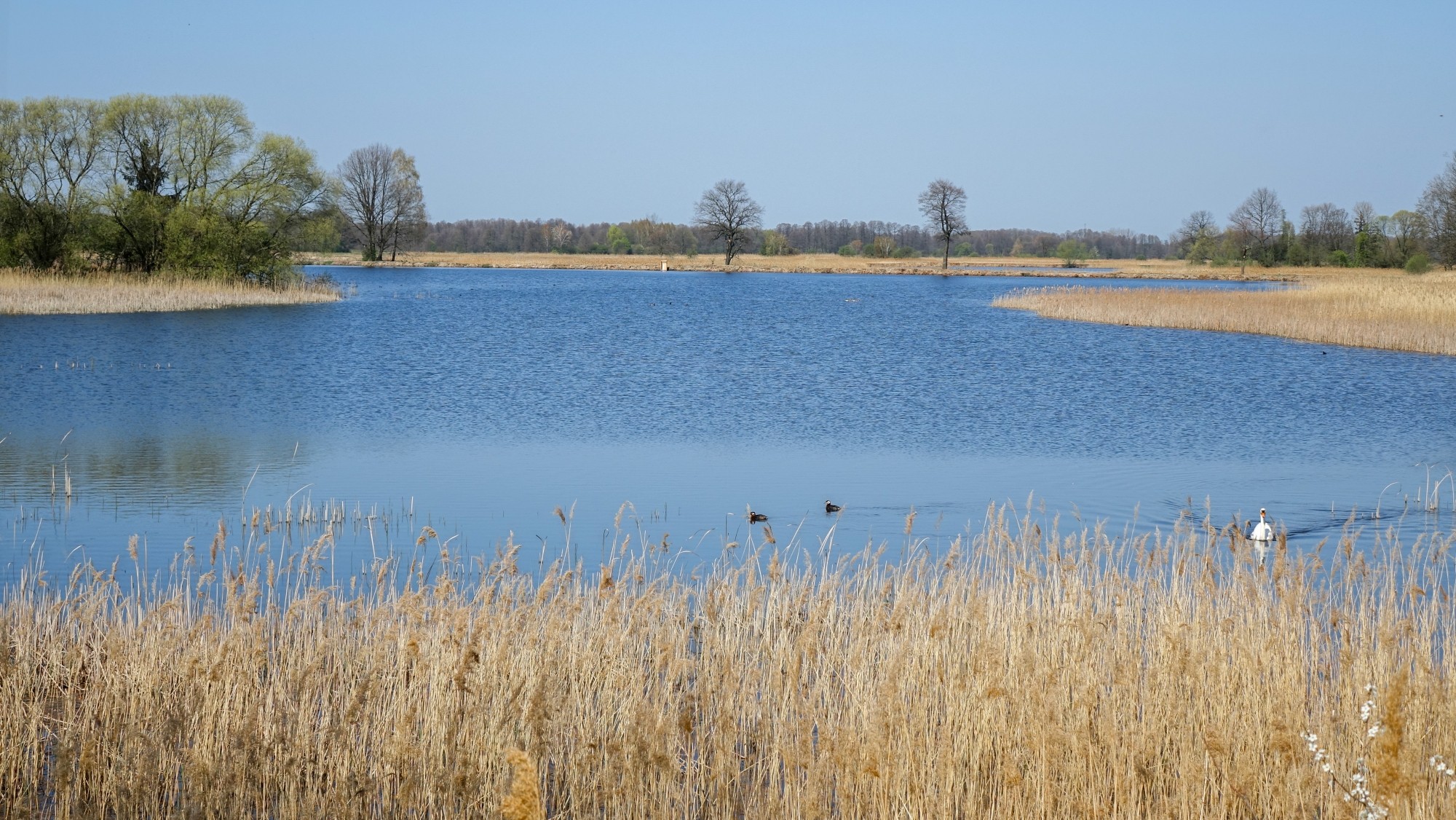 Podróż przez wiosenną Polskę - zdjęcie 26