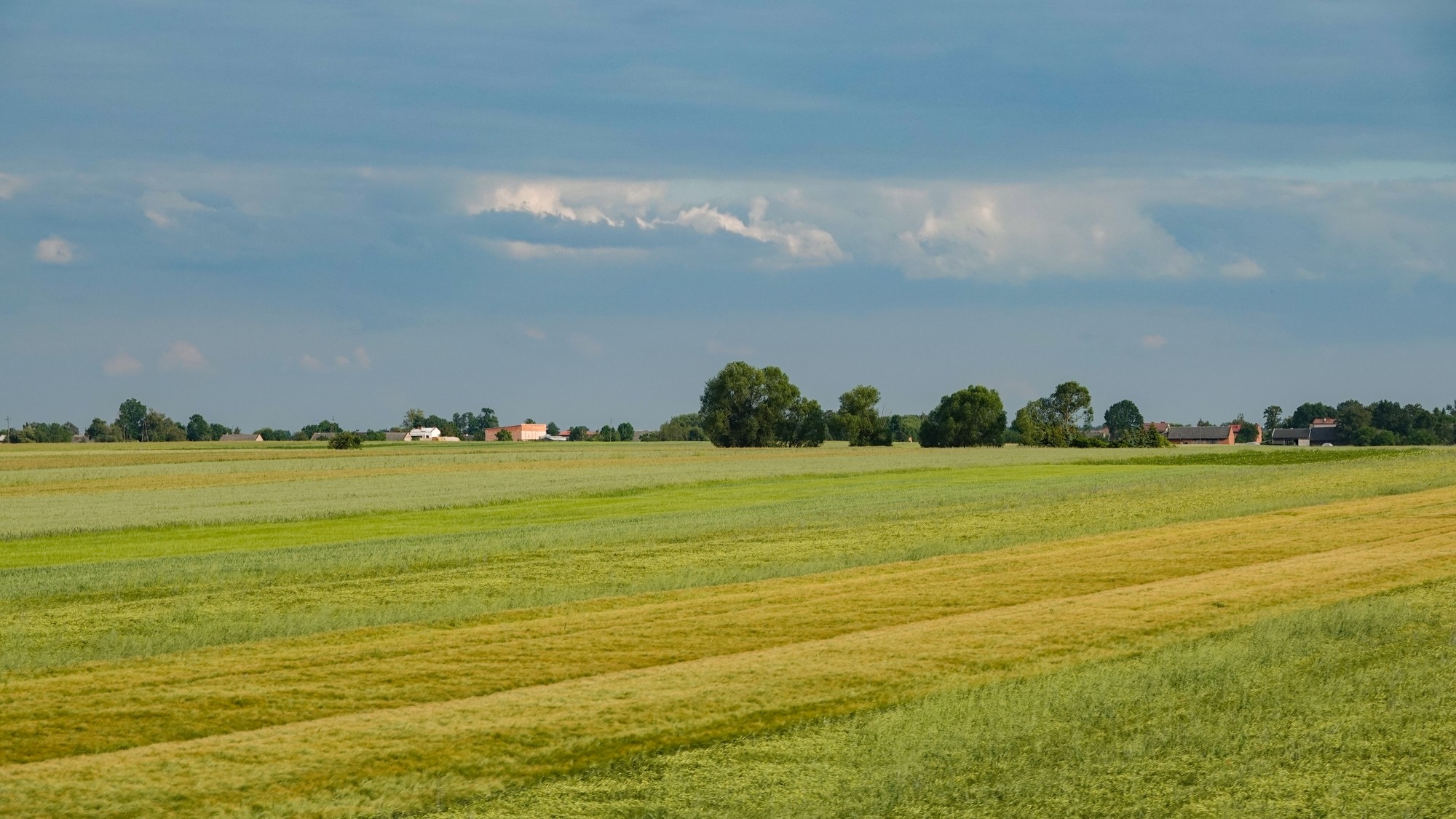 Letnie klimaty na łonie natury - zdjęcie 43
