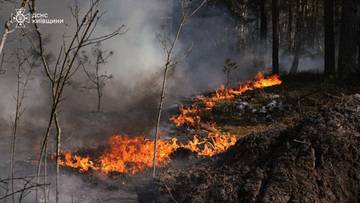 Ogromny pożar w Ukrainie. Płonie Strefa Wykluczenia