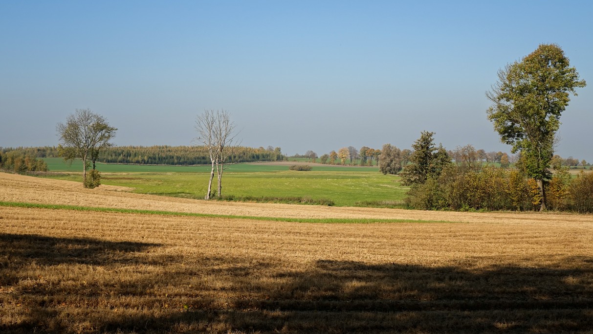 Październik w obiektywie - zdjęcie 48