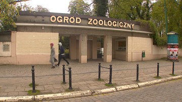 Kłopoty poznańskiego zoo. Powiatowy lekarz weterynarii cofnął mu część uprawnień
