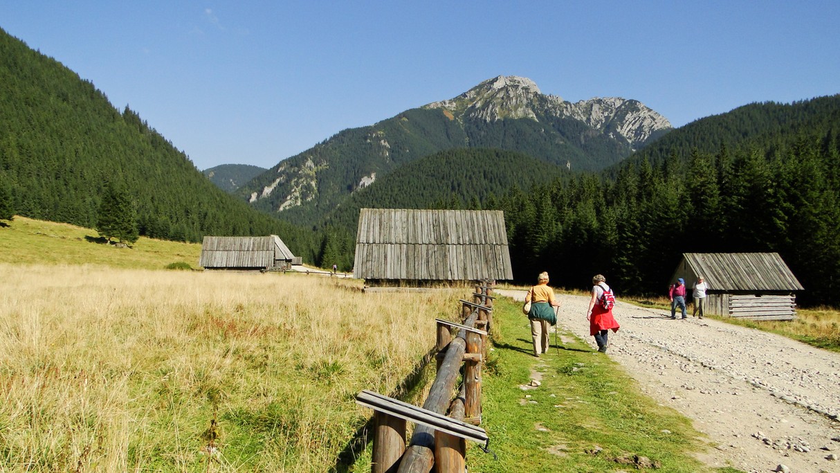 Piękno polskich gór - zdjęcie 12