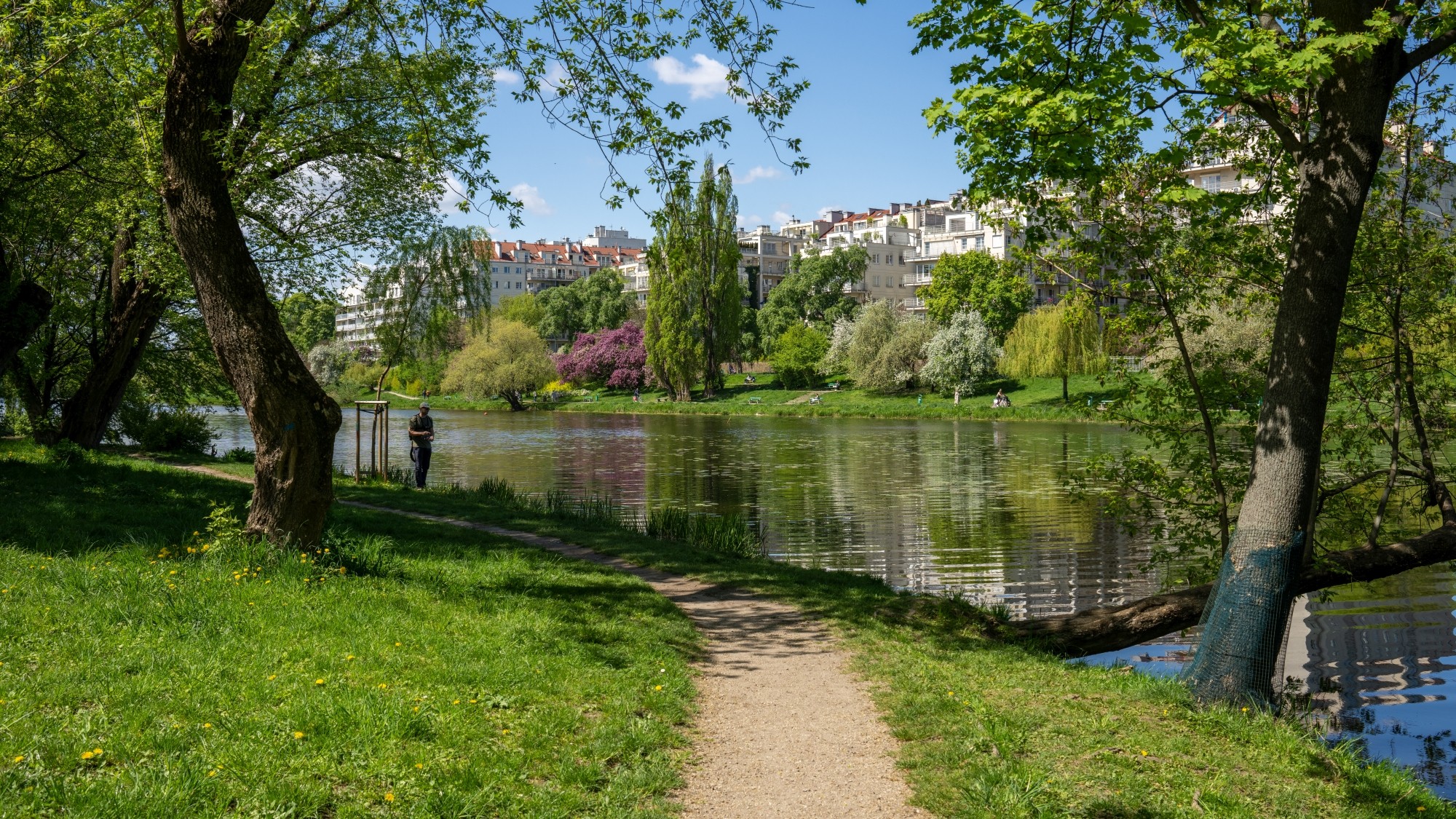 Wiosenna opowieść - zdjęcie 19