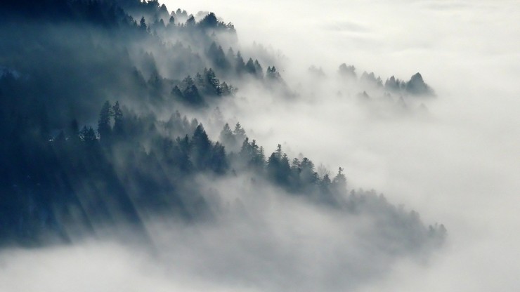 IMGW ostrzega przed oblodzeniem i gęstą mgłą. Alerty dla 11 województw