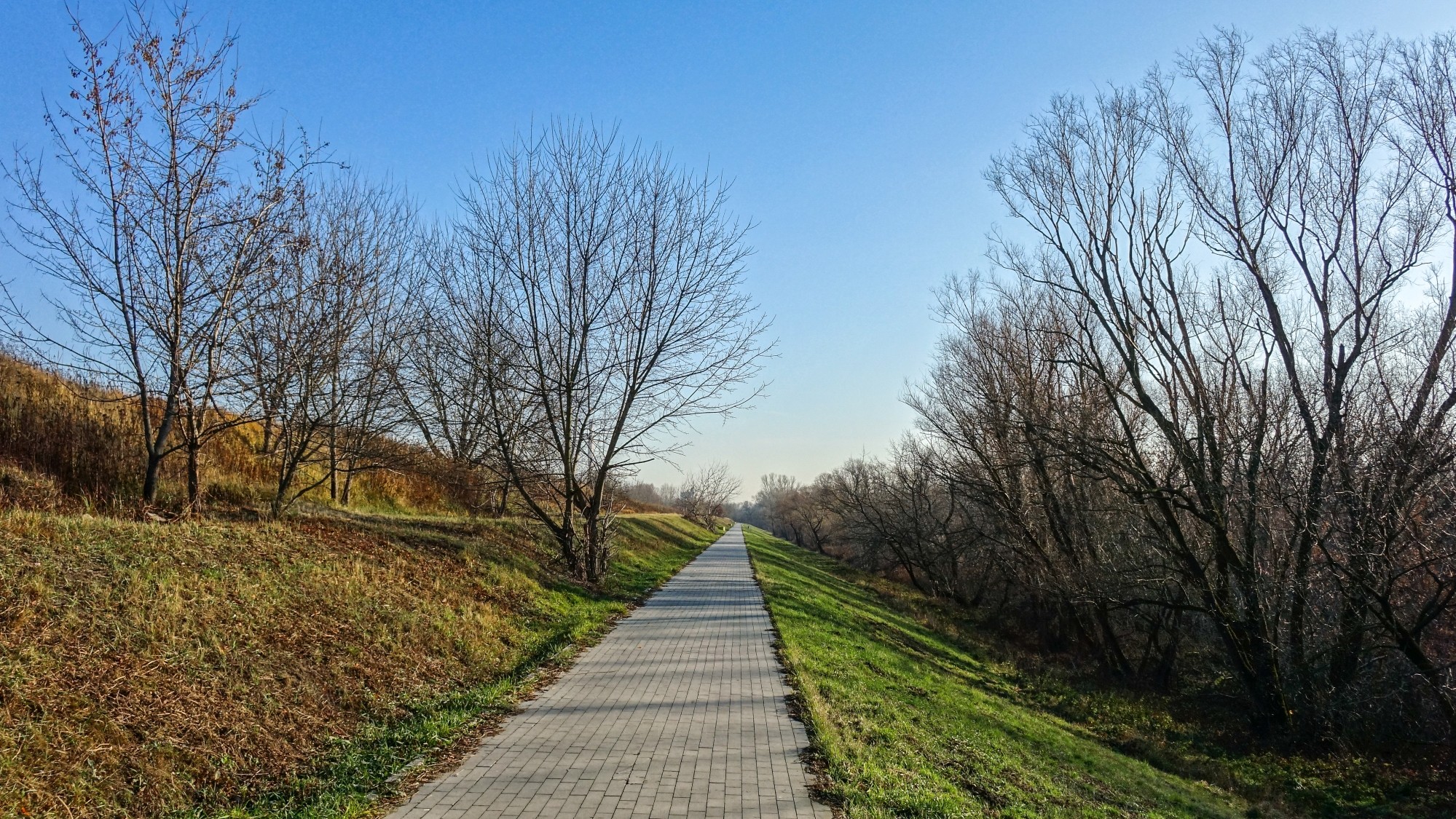 Listopad w obiektywie - zdjęcie 29