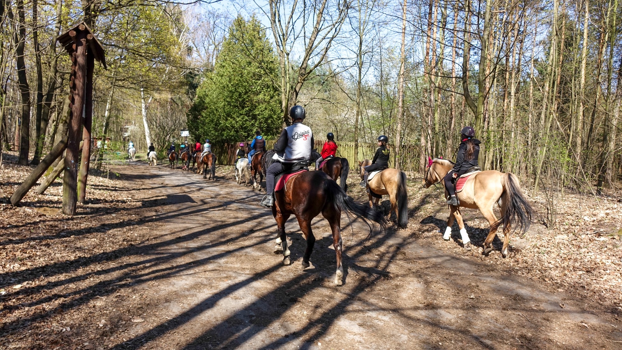 Kwiecień w obiektywie - zdjęcie 44
