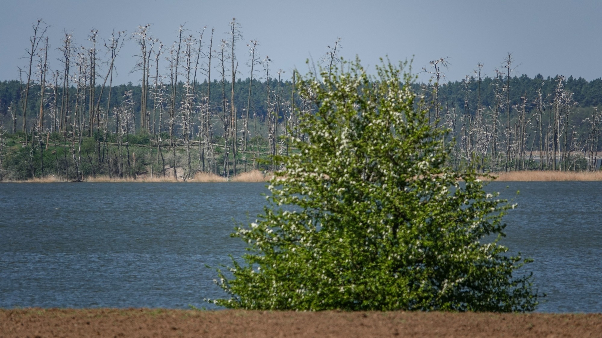 W maju jak w raju - zdjęcie 55