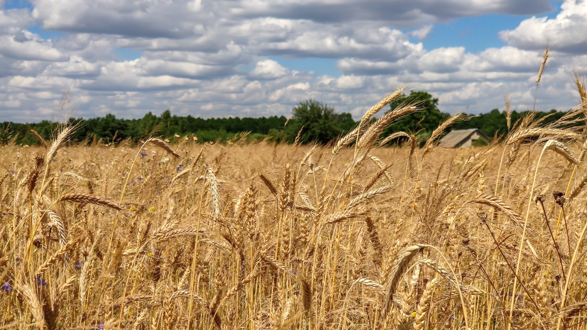Całe piękno polskiej prowincji - zdjęcie 15