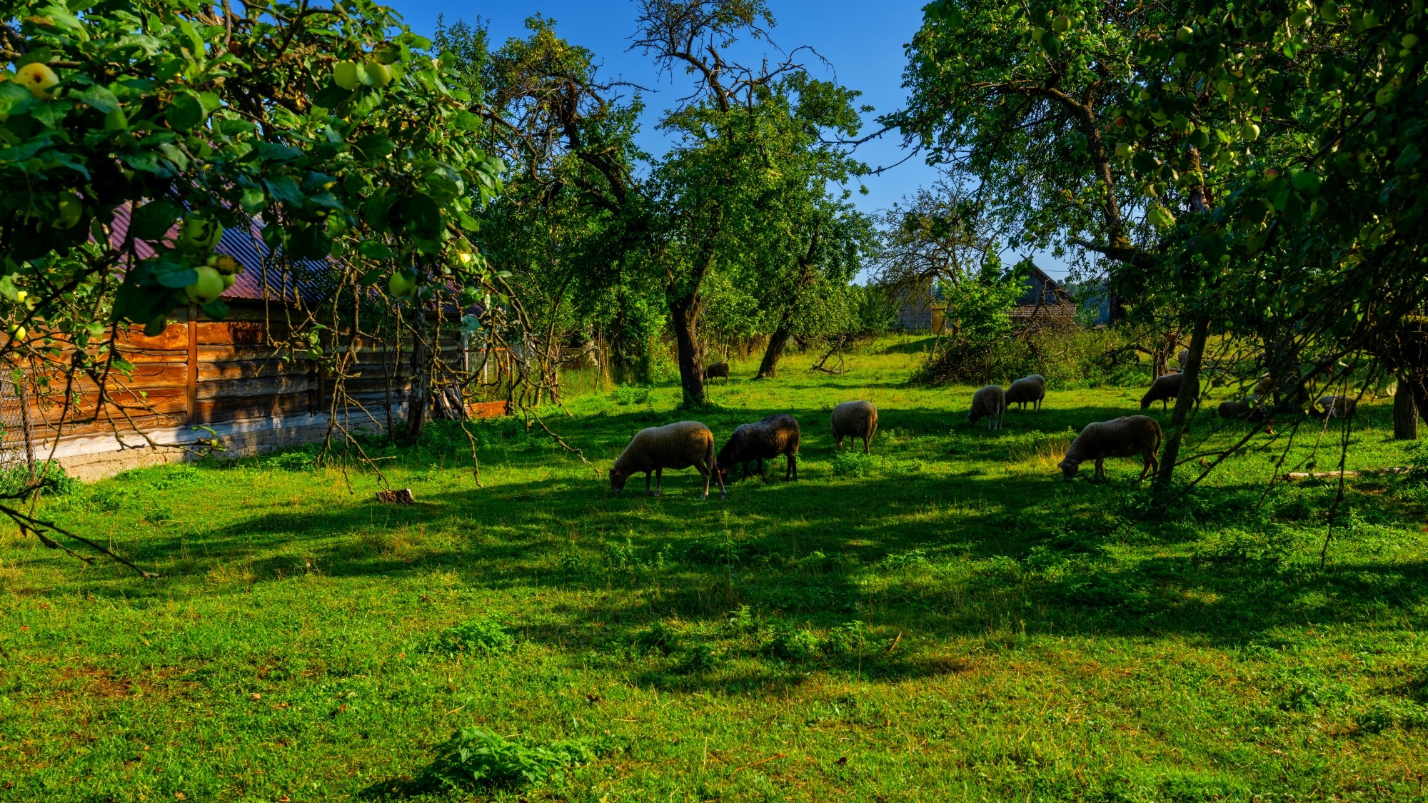 Wśród natury - zdjęcie 22