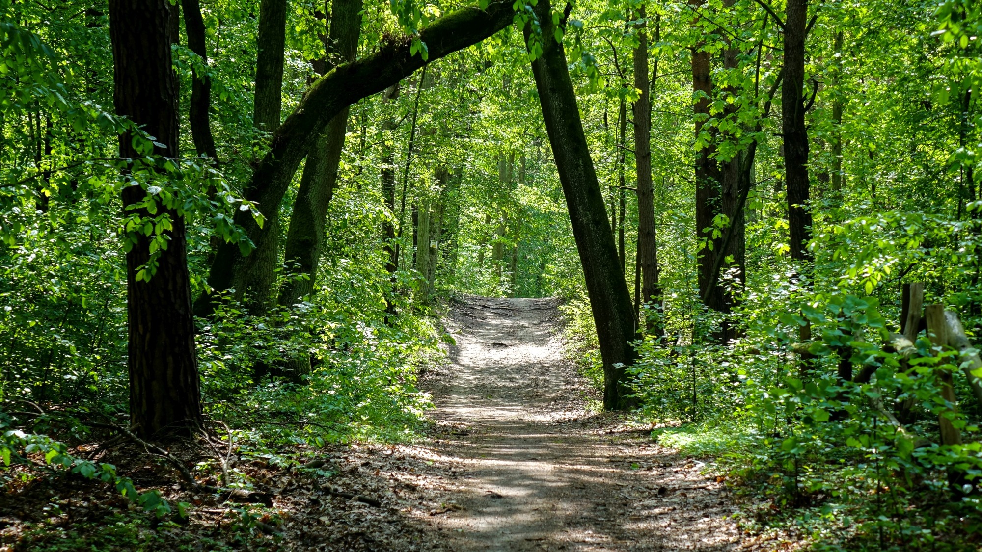 Maj w obiektywie - zdjęcie 62