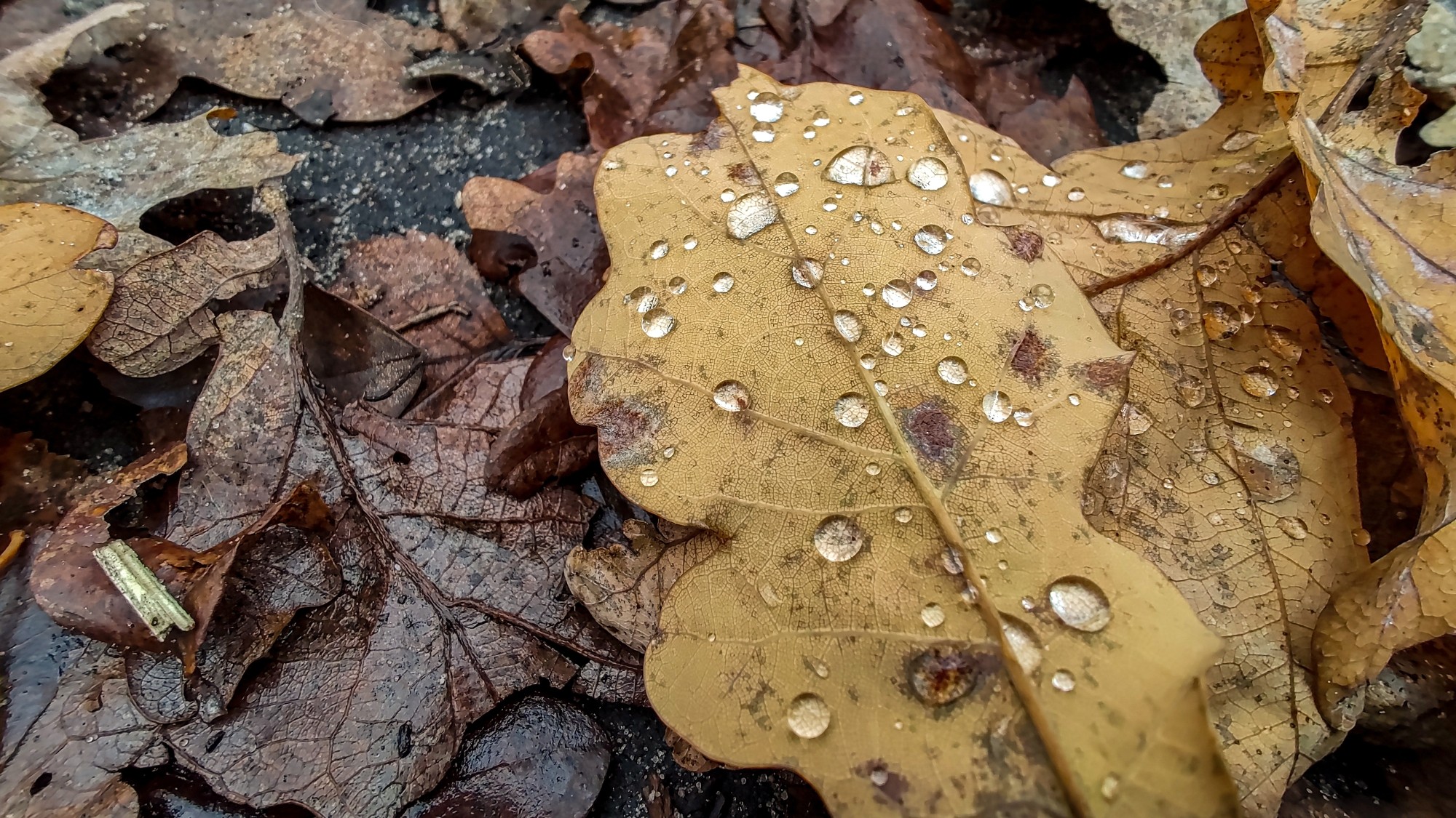 Listopad w obiektywie - zdjęcie 17