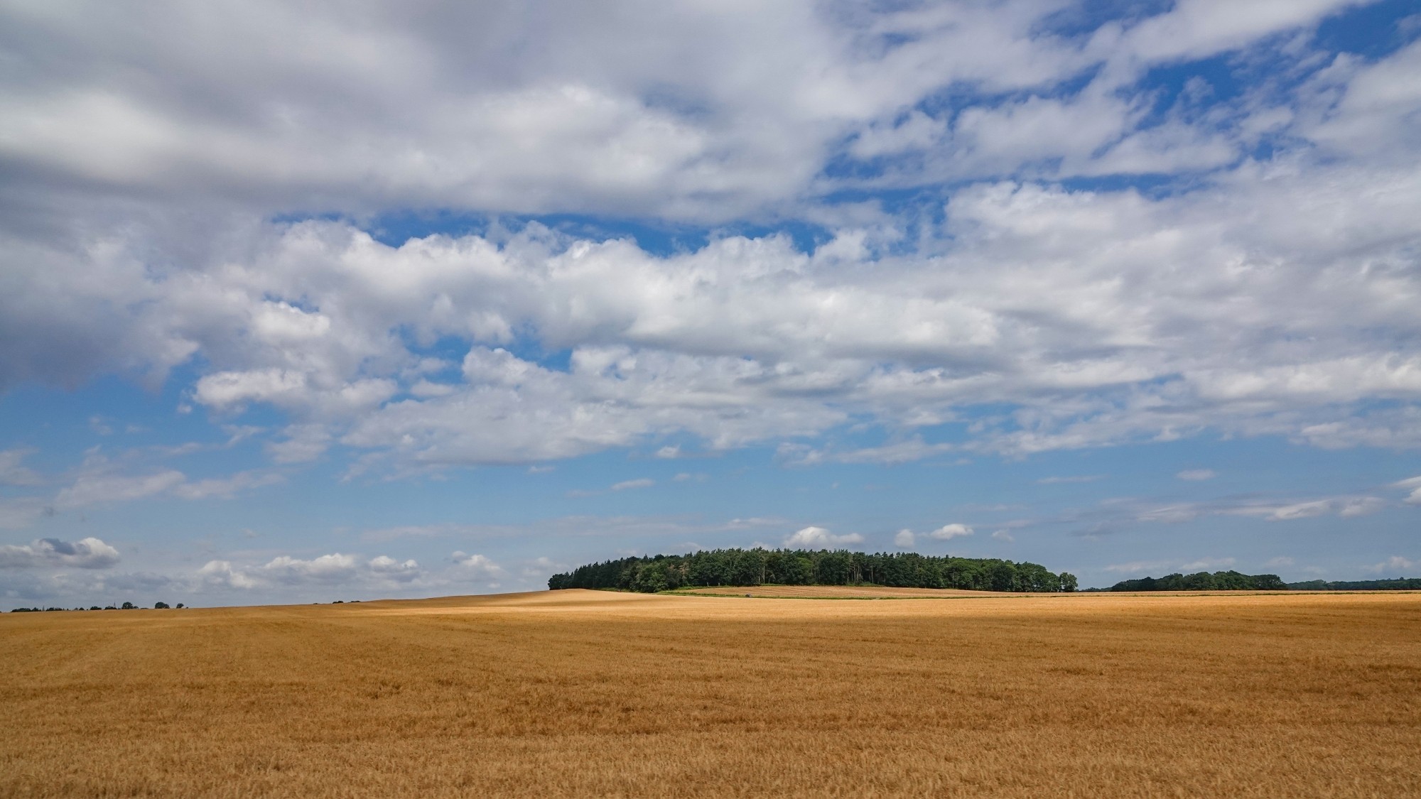 Środek lata w plenerze - zdjęcie 38