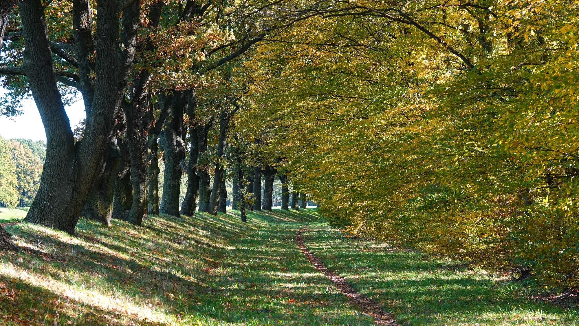 Wszystkie barwy jesieni - zdjęcie 47