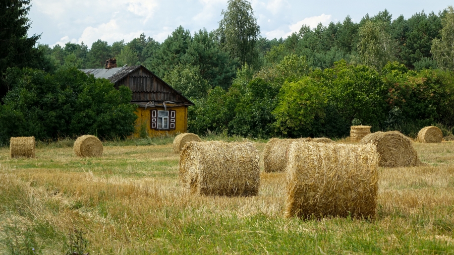 Fot. TwojaPogoda.pl