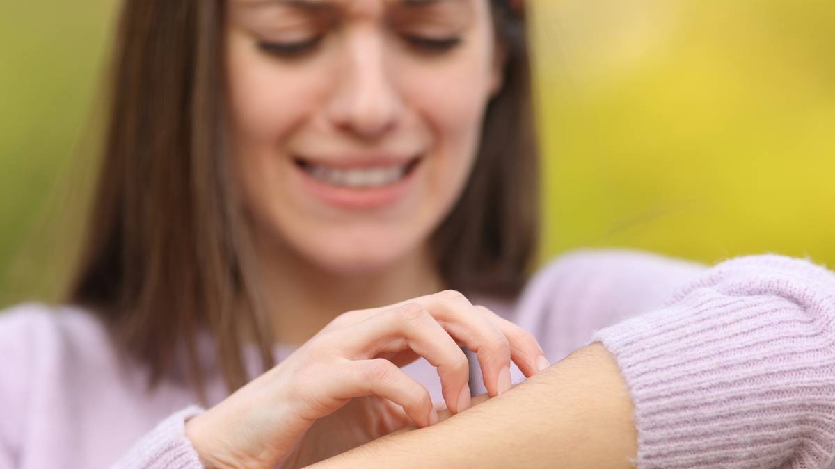 Komary. Jedne z najgroźniejszych owadów na świecie