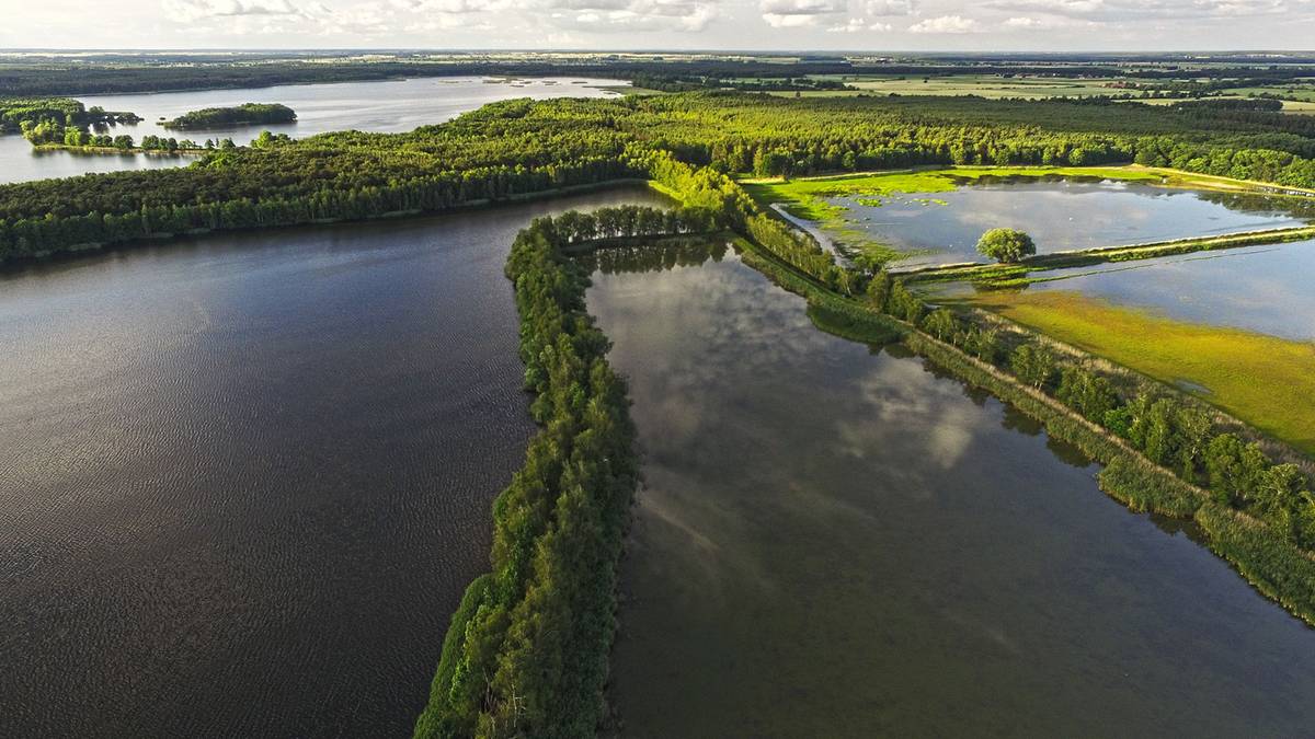 Cud natury blisko Wrocławia. To ewenement w skali kraju i świata