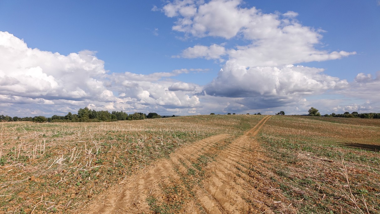 Lipiec w obiektywie - zdjęcie 20