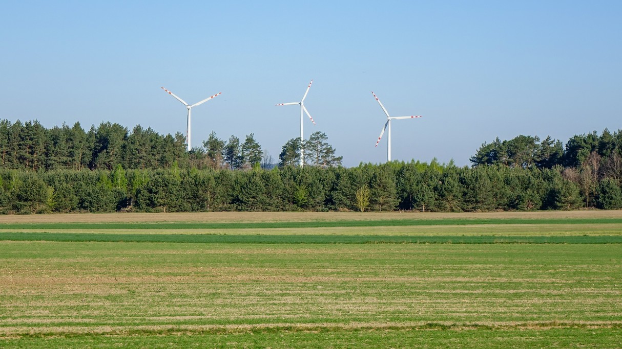 Kwiecień w obiektywie - zdjęcie 38