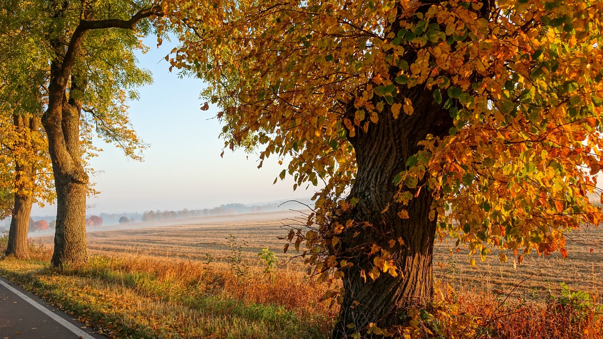 Barwy jesieni - zdjęcie 12