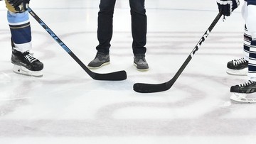 NHL: Rekord goli w sezonie Pastrnaka i Pointa