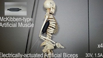 "Sztuczne mięśnie" z drukarki 3D. Rewolucja w robotyce