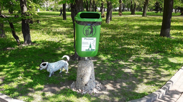 "Psie WC" w centrum Warszawy. Stanęły przez Pałacem Kultury