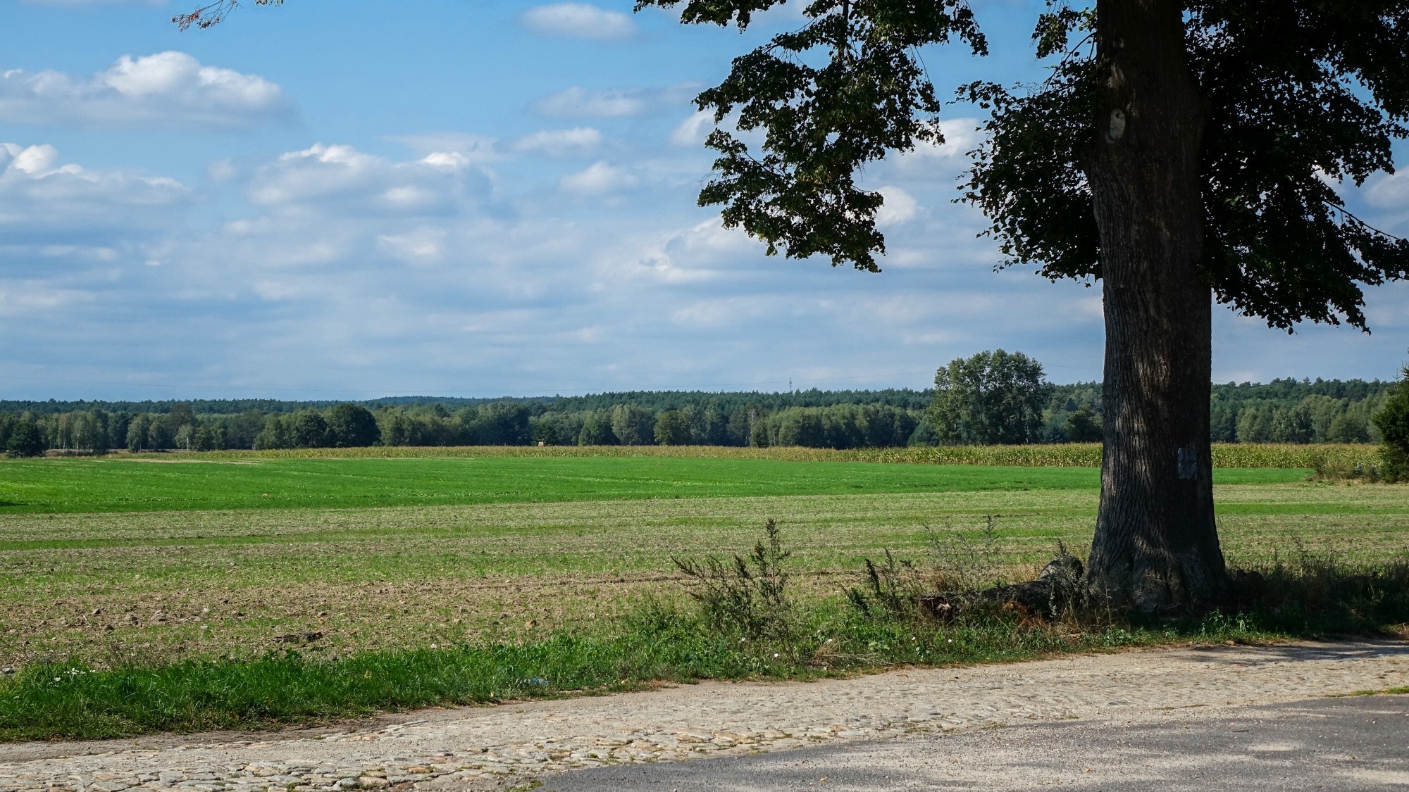 Późne lato na łonie natury - zdjęcie 27