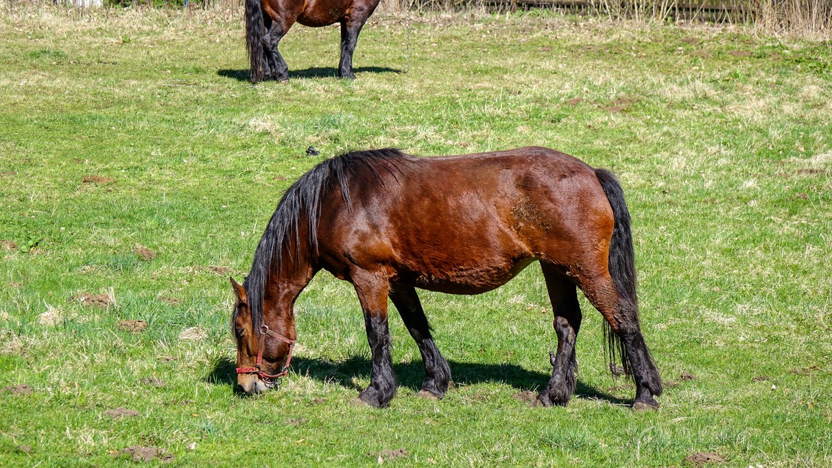 Maj w obiektywie - zdjęcie 18