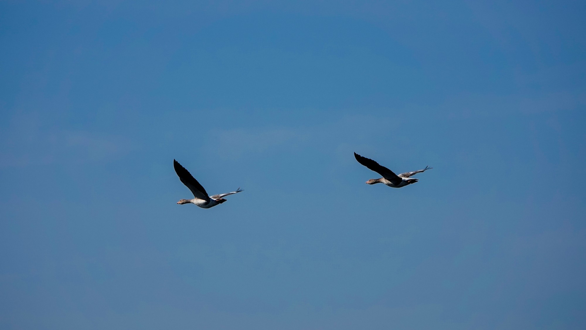 Z kamerą wśród zwierząt - zdjęcie 80