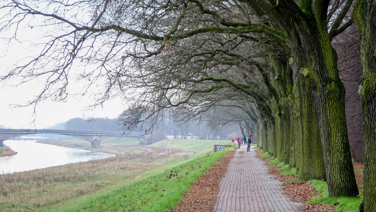 Grudzień w obiektywie - zdjęcie 32
