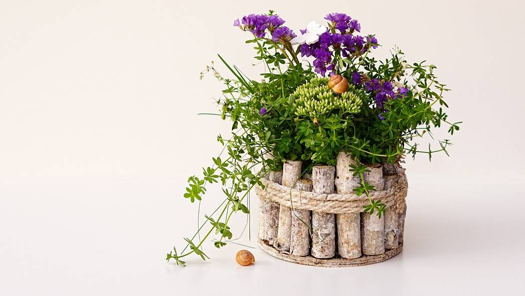 Zrób własną donicę z recyklingu i posadź w niej kwiaty na wiosnę