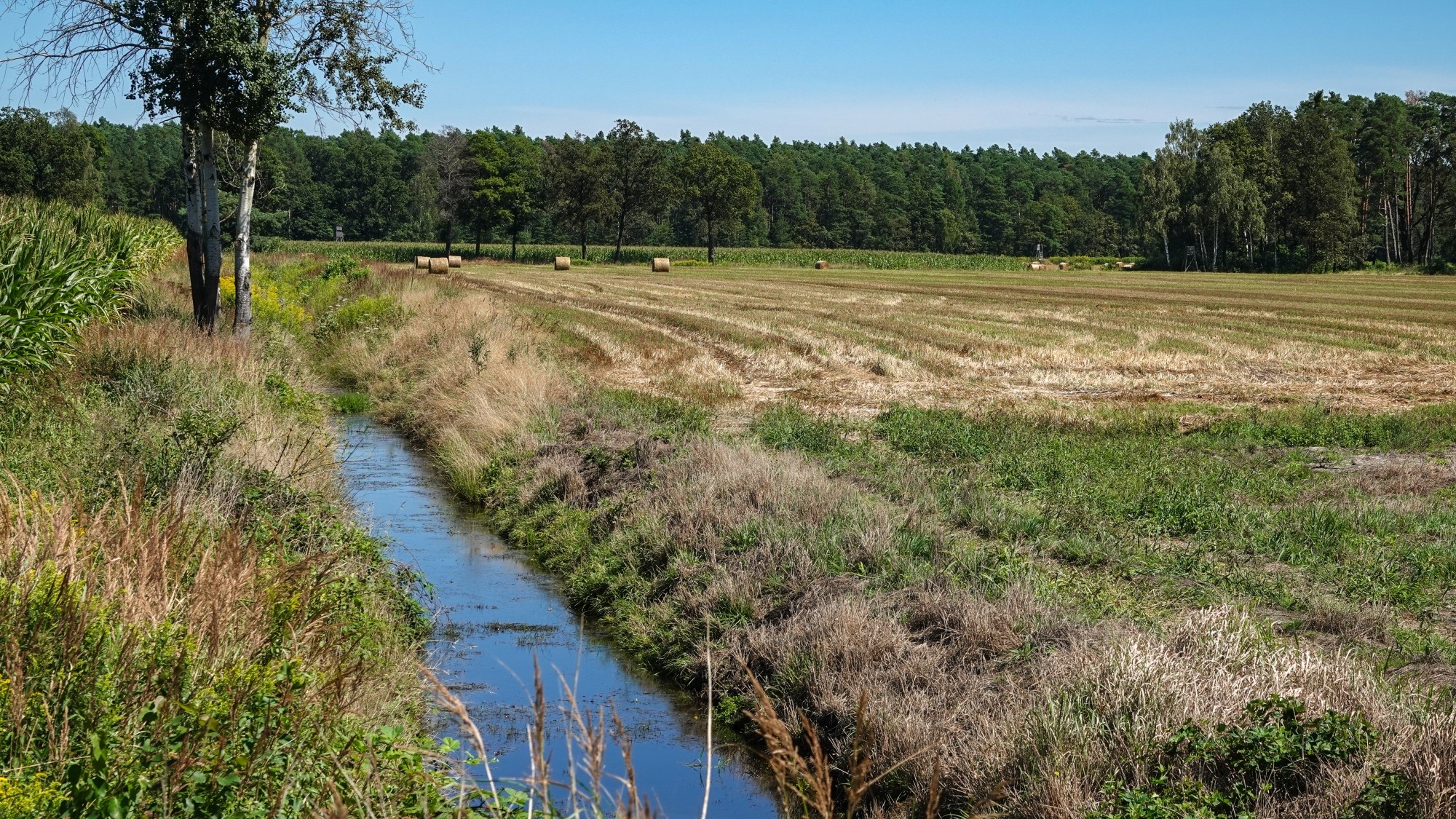Na pożegnanie lata - zdjęcie 50
